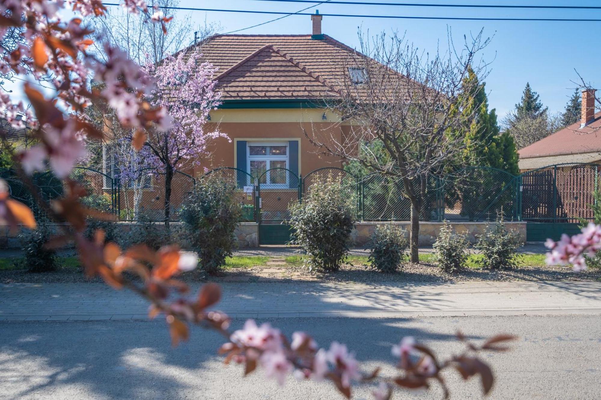 Giovanni'S Airport House Budapeşte Dış mekan fotoğraf